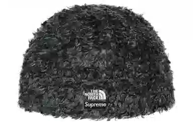 Supreme xTHE NORTH FACE