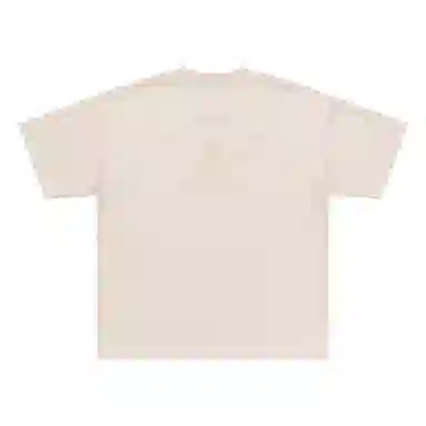 FEAROM T