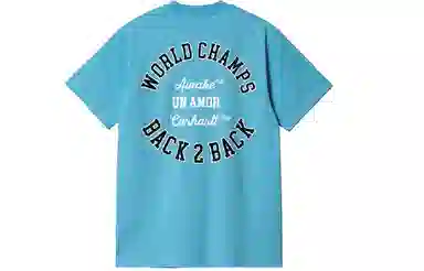 Carhartt WIP x Awake NY SS23