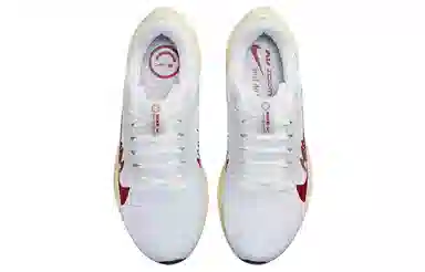 Nike Air Zoom Pegasus 40 PRM