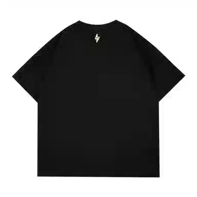 STANAIR T