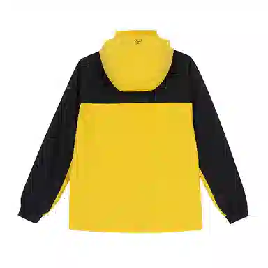 NORTHLAND PROFESSIONAL