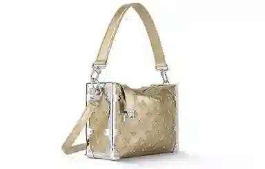 LOUIS VUITTON Side Trunk