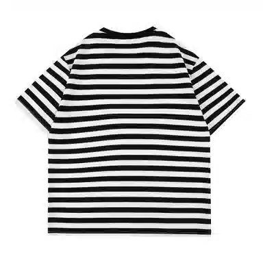 STANAIR T