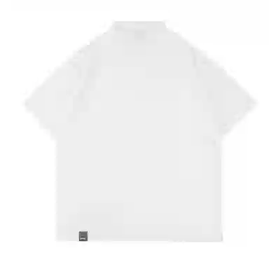 STANAIR LogoPolo