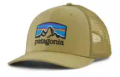 patagonia Logo