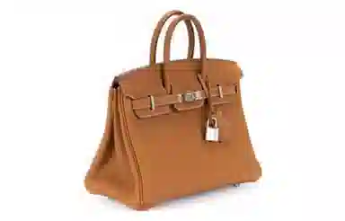 Hermes Birkin 25