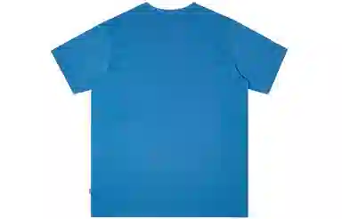 Dickies LogoT
