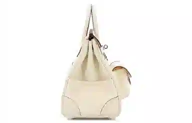 Hermes Birkin 25 Cargo Nata