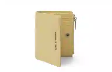 Charles & Keith Mini Wallet