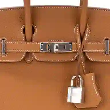 Hermes Birkin 25