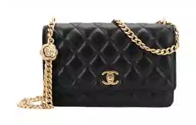 CHANEL Classic Flap CF 23S