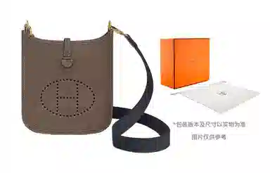 Hermes Evelyne Mini 16