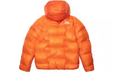 THE NORTH FACE 800