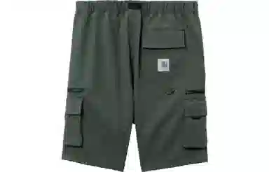 Carhartt WIP Shorts Green