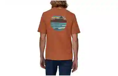 patagonia T