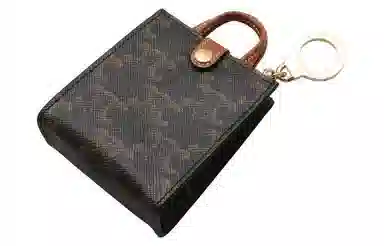 Celine Triomphe Canvas Mini Tote