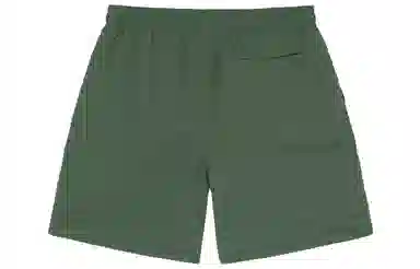 Stussy SS22 Logo Curly S Water Short