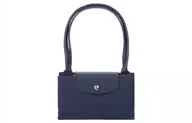 LONGCHAMP Le Pliage Green