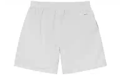 Stussy SS22 Logo Curly S Water Short