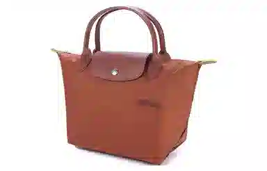 LONGCHAMP Le Pliage Green 23 Brandy