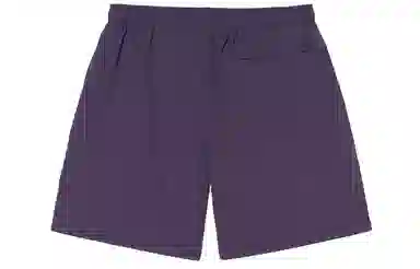 Stussy SS22 Logo Curly S Water Short