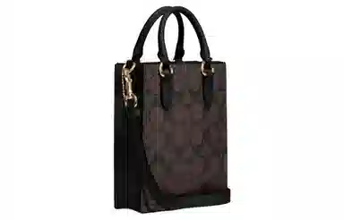 COACH North/South 17 Black