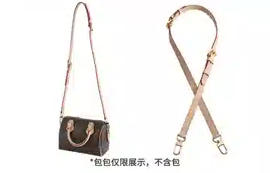 Louis Vuitton Speedy20