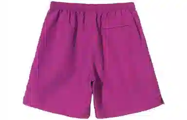 Stussy Stock Water Short Logo