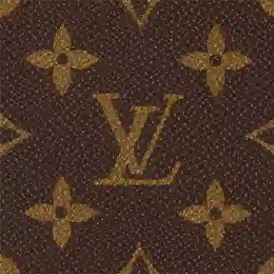LOUIS VUITTON LV Horizon 70 26