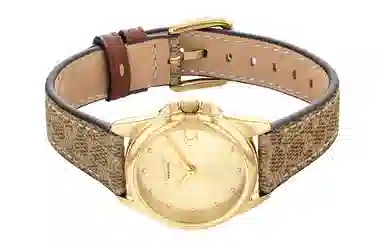 COACH Greyson 14504107