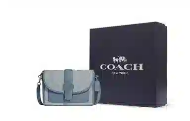 COACH Lonnie 25 Chambray