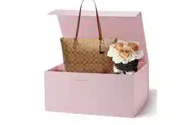 COACH Zip Top Tote 30 Tote