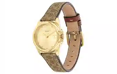 COACH Greyson 14504107