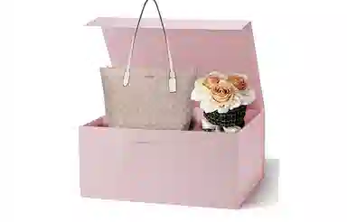 COACH Zip Top Tote 30