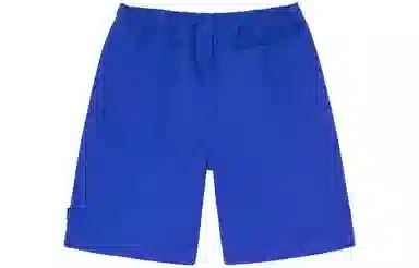 Stussy SS22 Brushed Beach Short