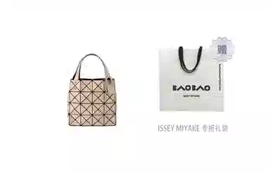 ISSEY MIYAKE Lucent Boxy PVC 520