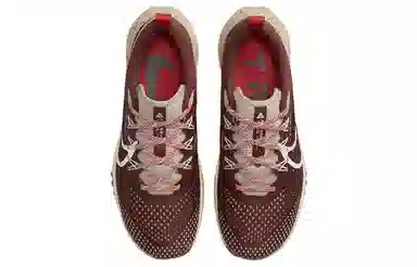 Nike Pegasus Trail 4 Brown