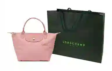 Longchamp Le Pliage Green 23 Pink