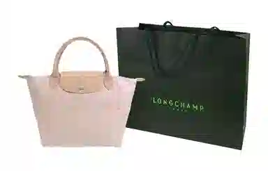 LONGCHAMP Le Pliage Green 23