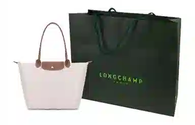 LONGCHAMP Le Pliage 31