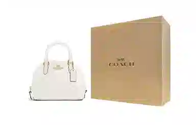 COACH Sydney 20 Chalk White
