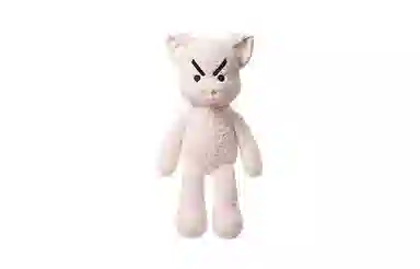 26cm