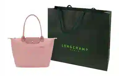 LONGCHAMP Le Pliage Green 28