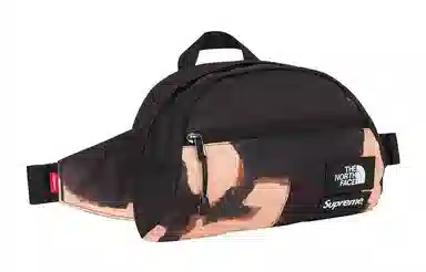 Supreme The North Face Logo