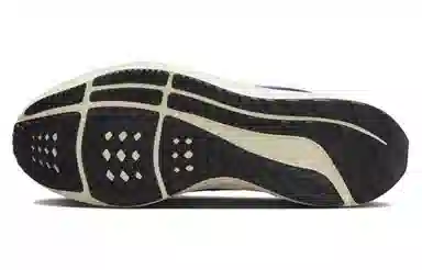 Nike Air Zoom Pegasus 40 PRM Grey