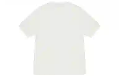 Stussy Block Sport Pigment Dyed Tee