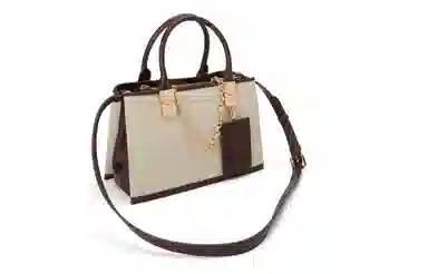 Charles & Keith Kelly Bag Dark Brown/Beige