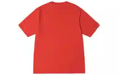 Stussy Block Sport Pigment Dyed Tee