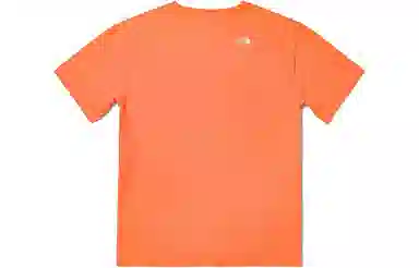 THE NORTH FACE SS23 T